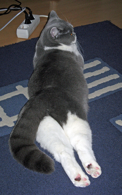 【高科技训练装备】从“纸上谈兵”到“数码提升”，高科技武器装备