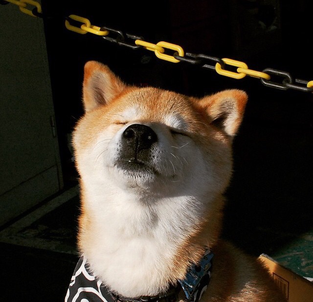 今年联盟三分球命中率排名前五的队伍，2021nba三分球命中率