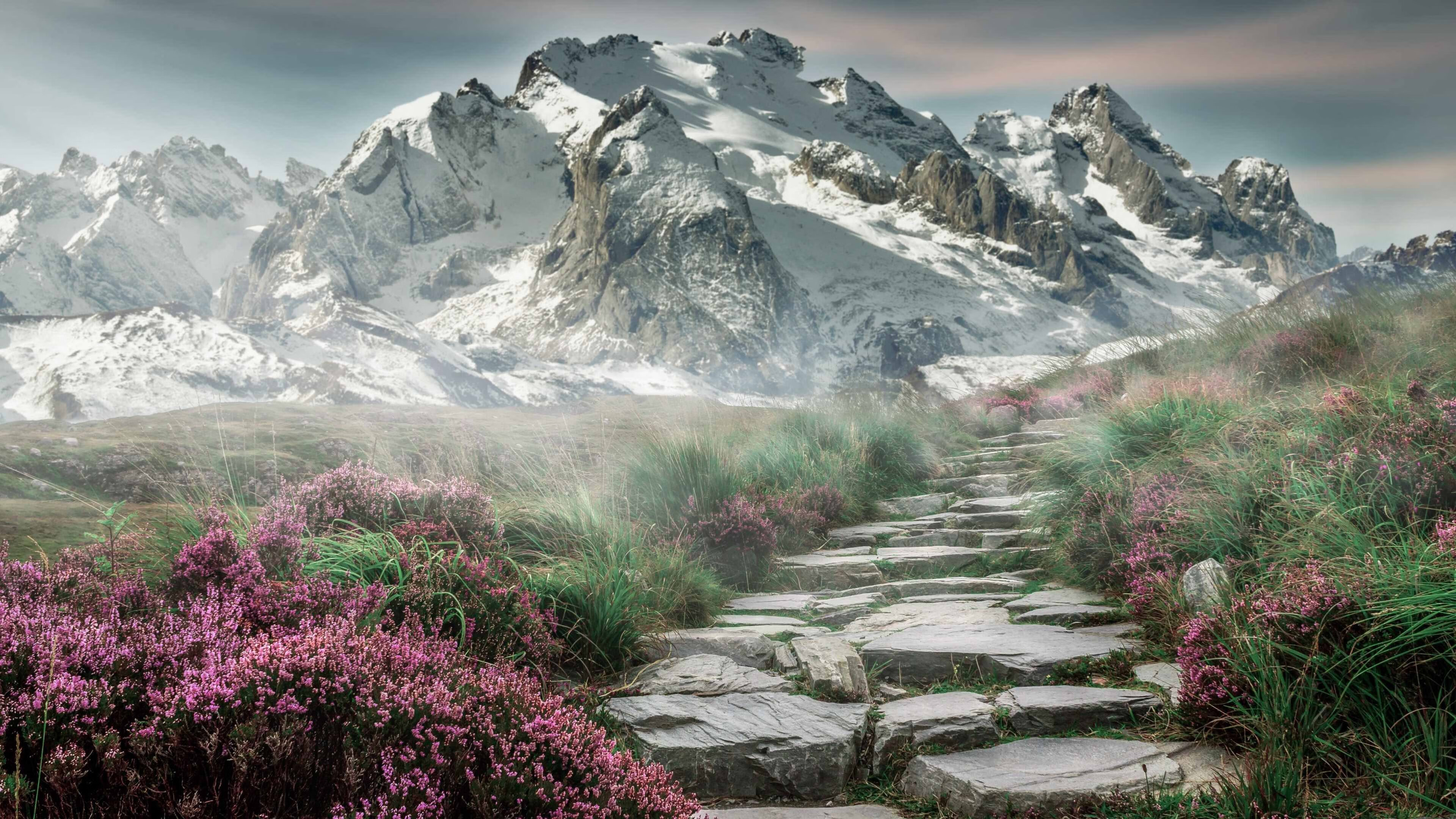 优质青训教练队伍组成,为少年足球引航,足球青训球员培养协议