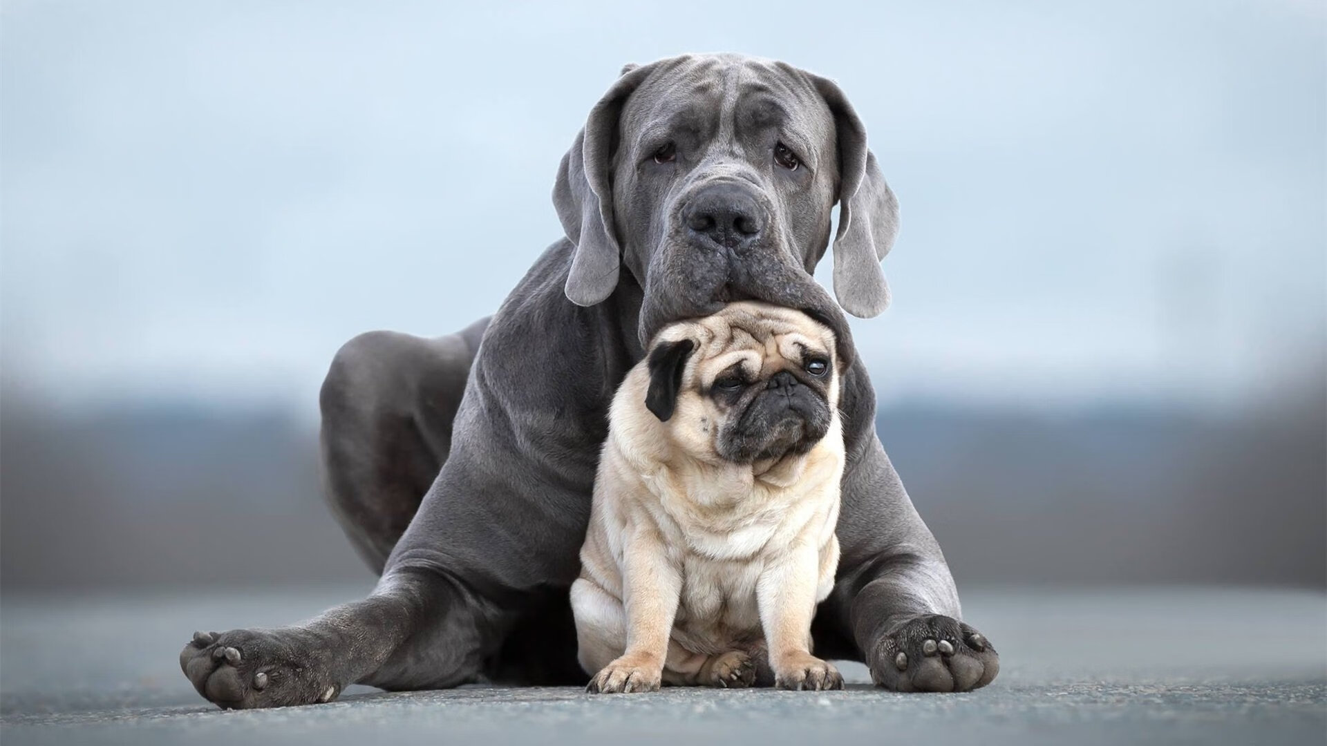 绿色赛事成为新趋势:低碳环保理念深入行业,绿色低碳生态环保