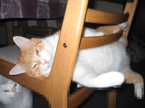 赛前热身：球员纷纷展示绝技瞬间，赛前热身的描述好文章