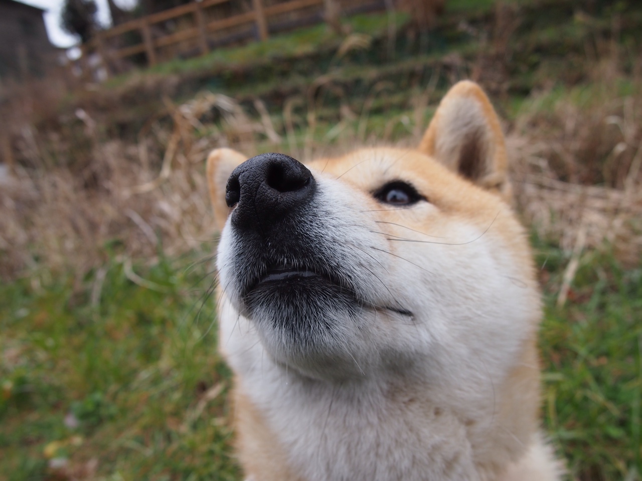 超级崛起:出人意料的黑马球队突围记,超级崛起系统