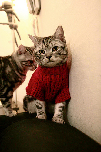 LPL实施电竞运动员职业生涯规划项目，电竞职业运动员技术等级标准