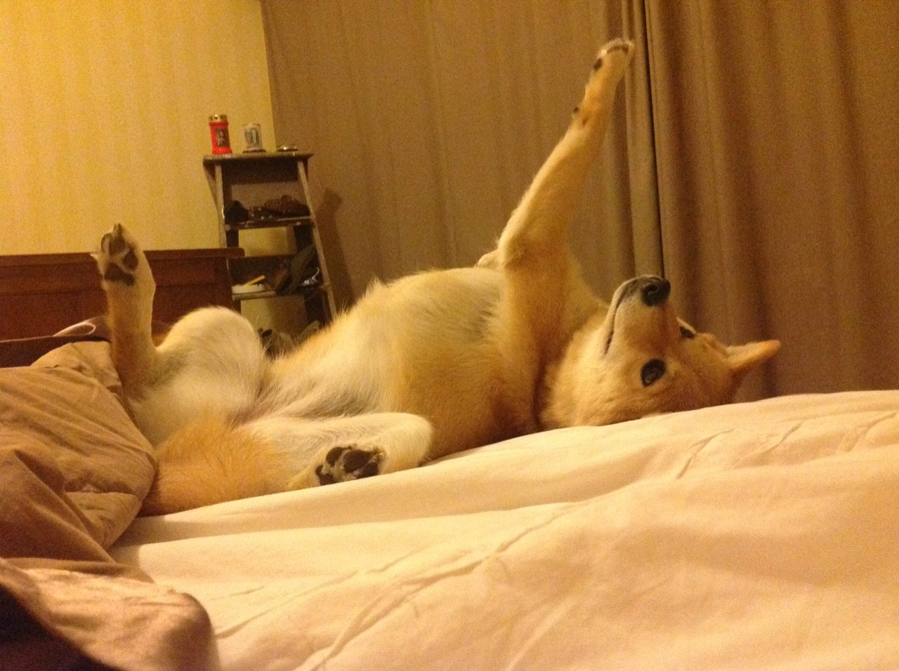 堡垒之夜上线NBA球星皮肤,堡垒之夜上线nba球星皮肤会返场吗