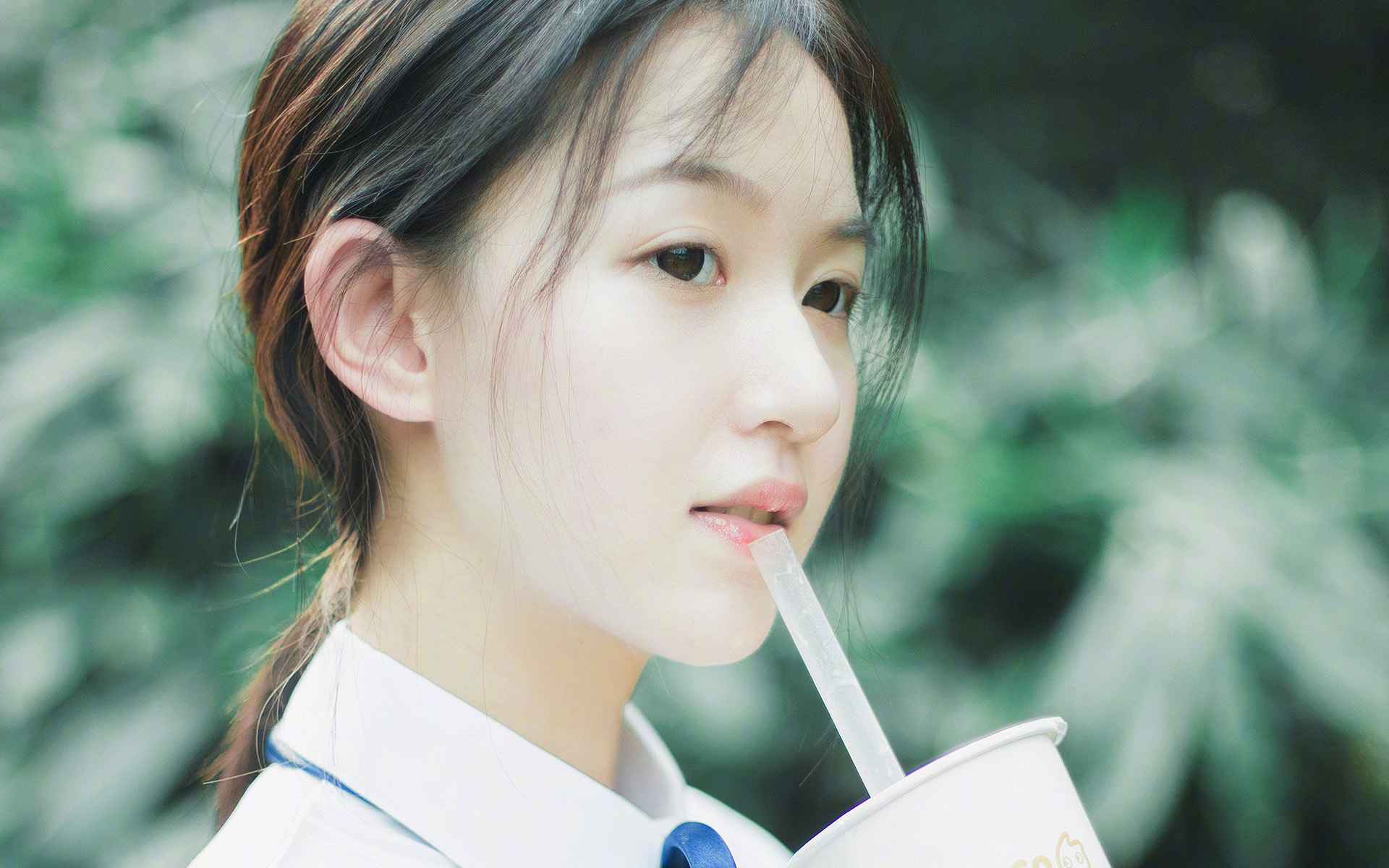 山东泰山锋线表现助力连胜,山东泰山阵型