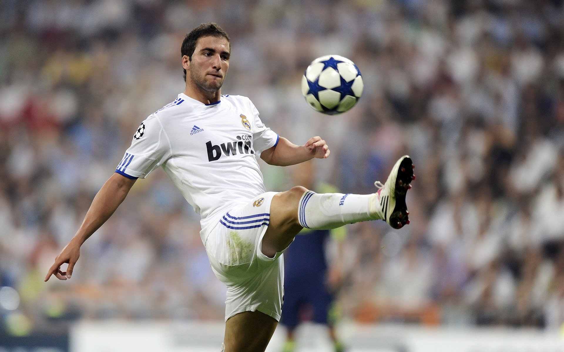 法国职业联赛强队争霸，球迷热议不断，法国足球职业联赛