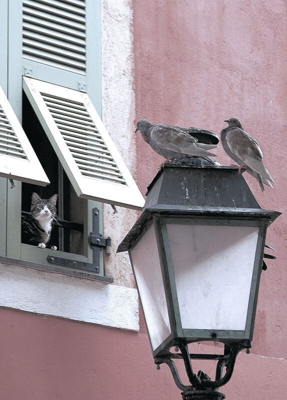 韩国星际争霸联赛观众人数激增，韩国星际争霸选手排名