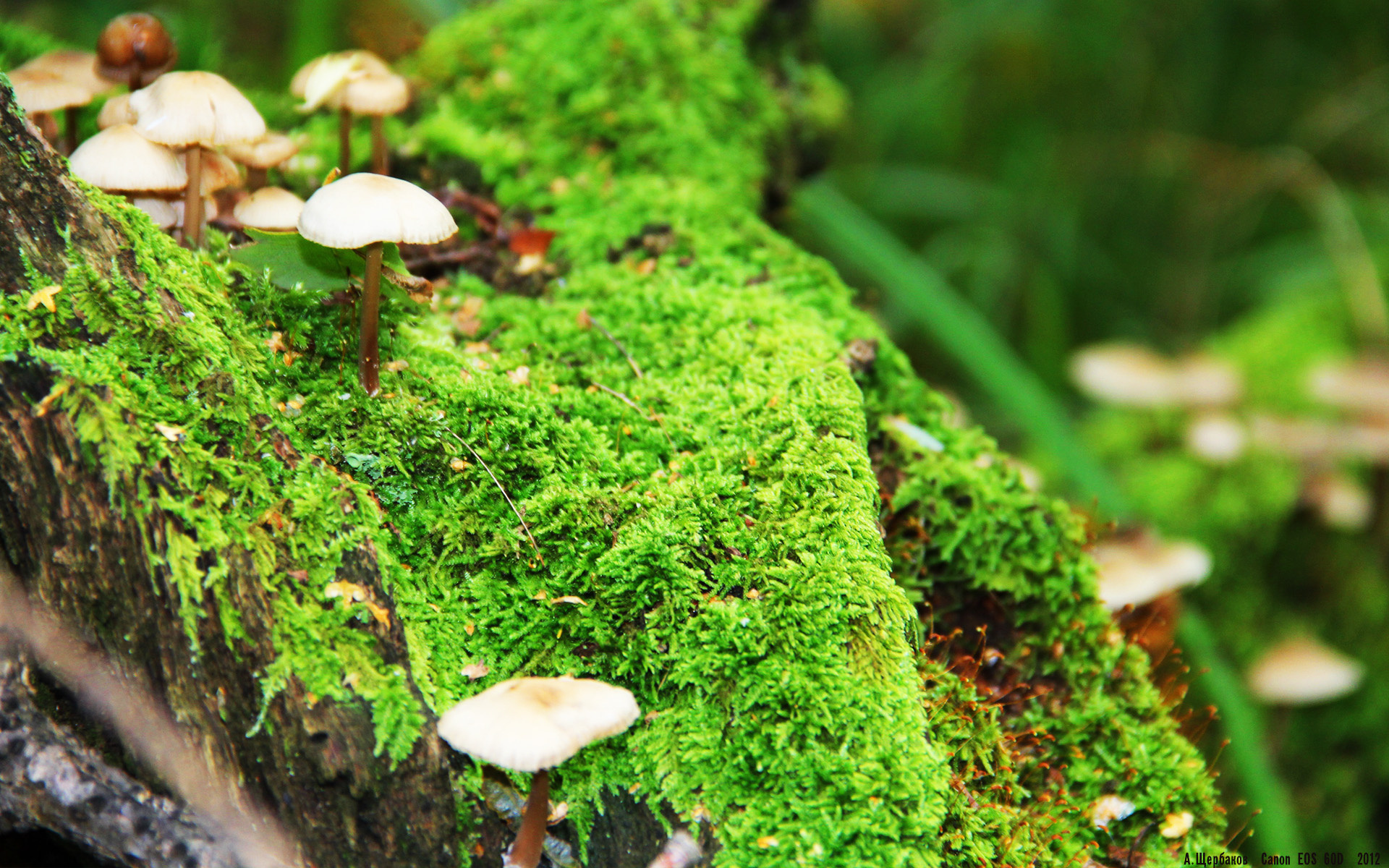 青训教练员技术水平提升方法,青少年教练员等级培训考核管理办法