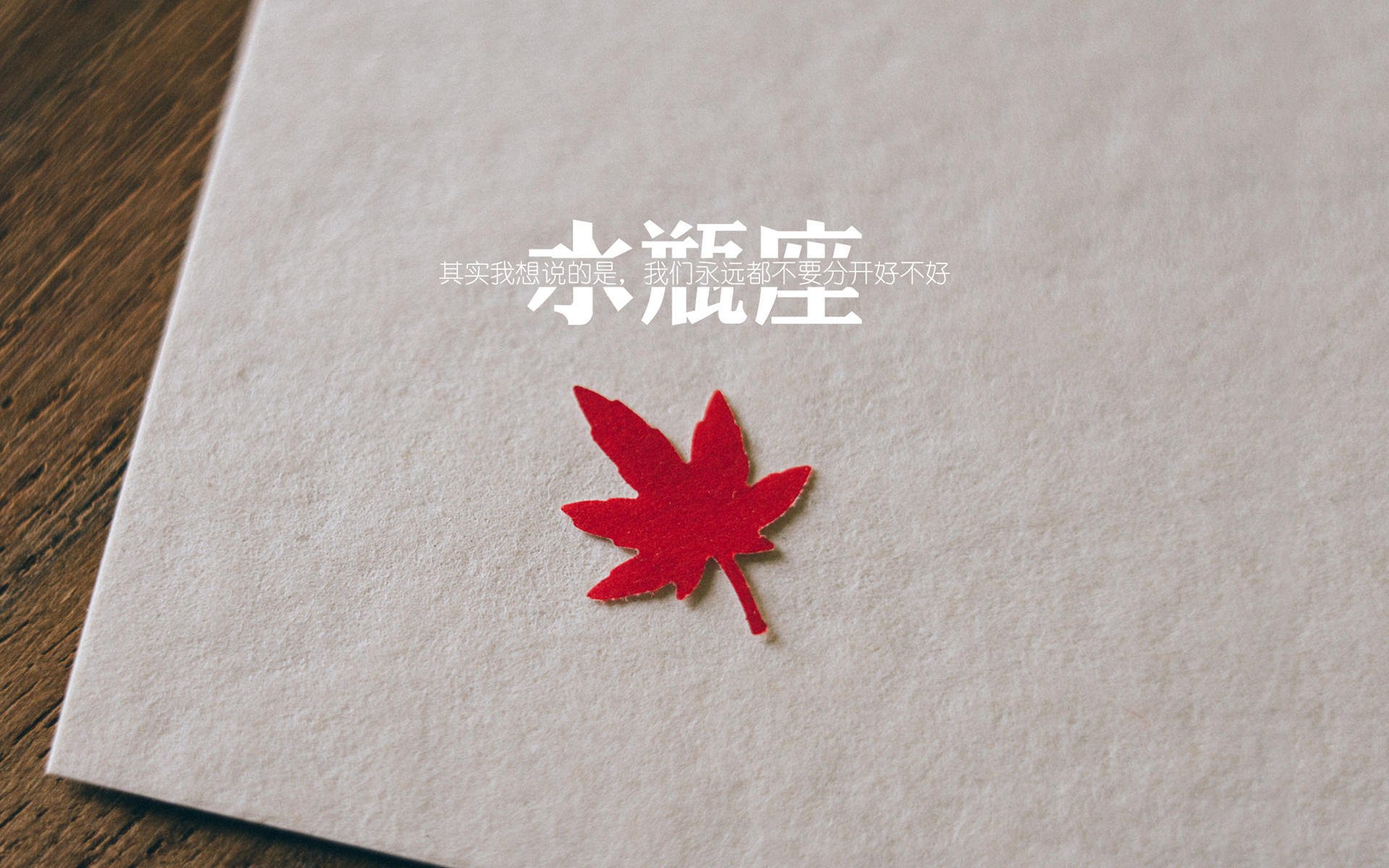 葡萄牙马术协会与欧洲马术协会签署合作协议，共同举办国际赛事。