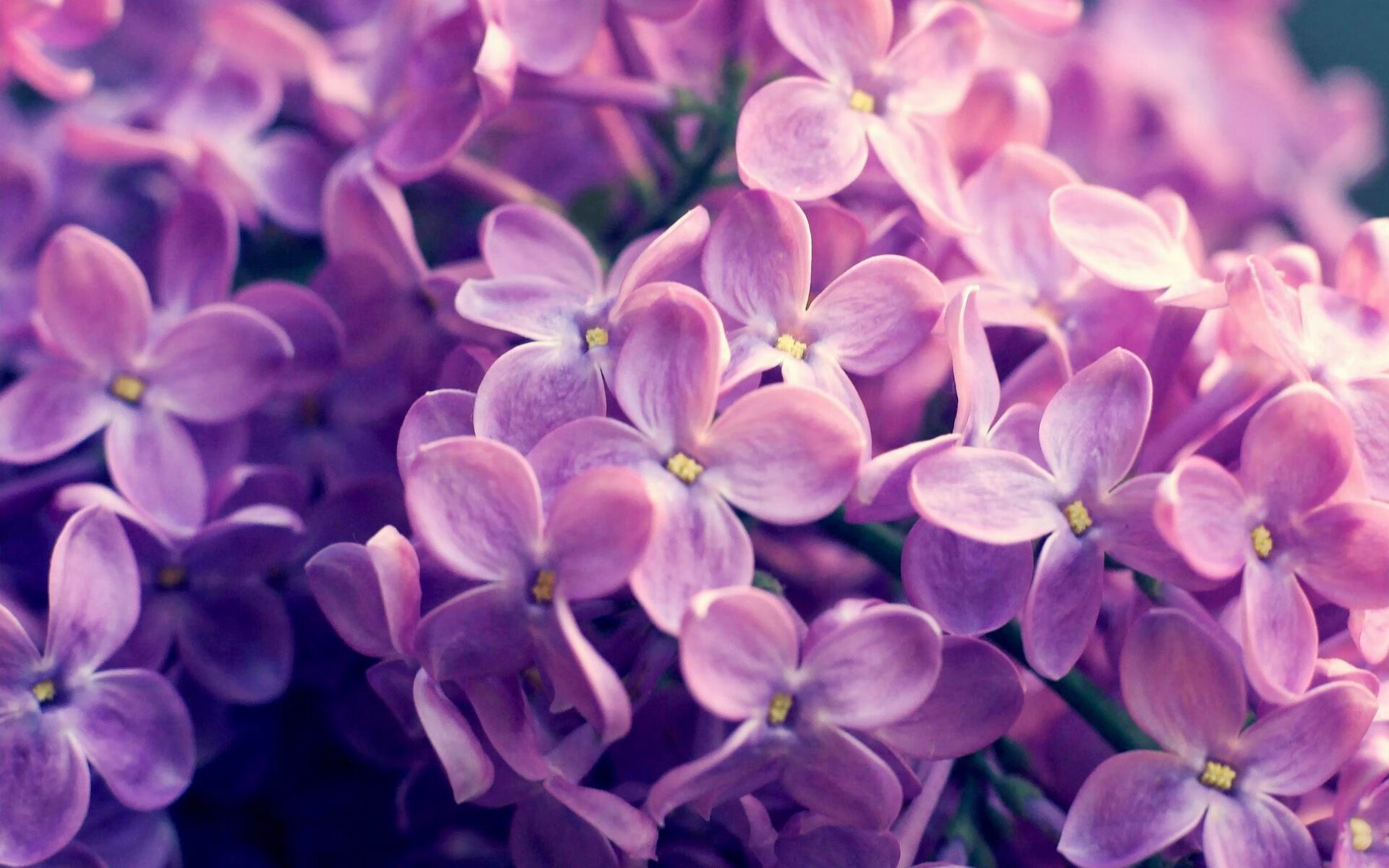 掘金全队拍摄新宣传照风格大胆，掘金队员