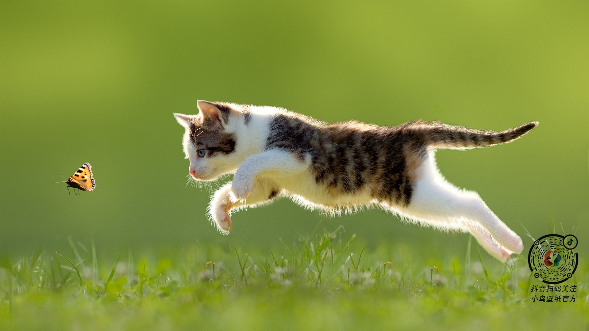 校园足球设置赛后技术讲评环节引导学生自主分析，校园足球课程教学指南