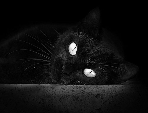 法甲未来之星：崭露头角，引领足球潮流！，足球未来之星阵容